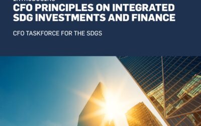 CFO-Prinzipien für nachhaltige Investitionen und Finanzen