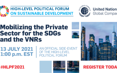 Mobilizing the Private Sector for the SDGs and the VNRs