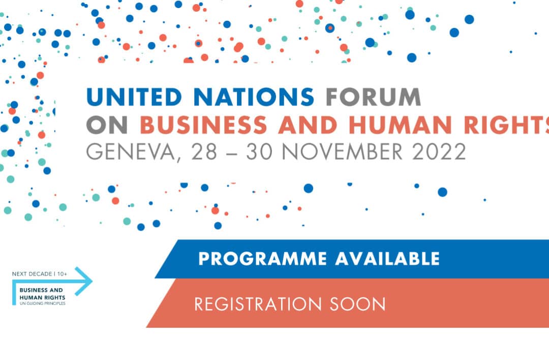 11. UN Forum zu Wirtschaft und Menschenrechten