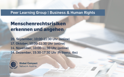 Peer Learning Group | Business & Human Rights