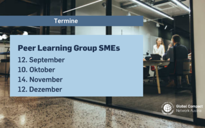 Peer Learning Group SMEs