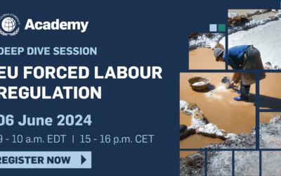 Deep Dive Session: EU Forced Labour Regulation