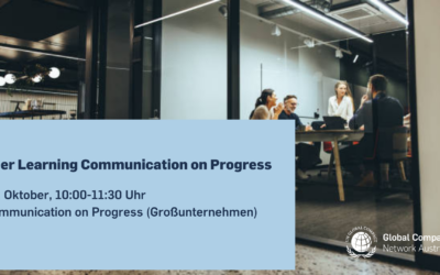 Peer Learning Communication on Progress I Großunternehmen