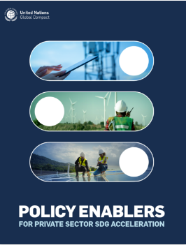 Policy Enablers