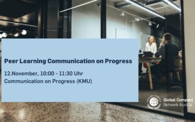 Peer Learning Communication on Progress I KMU