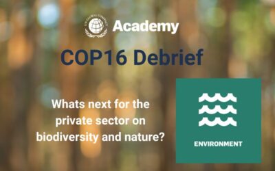 Debrief I COP16: “ What’s next for the private sector on biodiversity and nature?“ (EN)