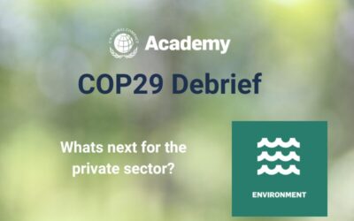 Debrief I COP29: „What´s next for the private sector?“ (EN)