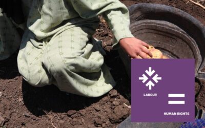 Child Labour Platform 2024 Annual Meeting: „Creating lasting change to end child labour in supply chains“ (EN)