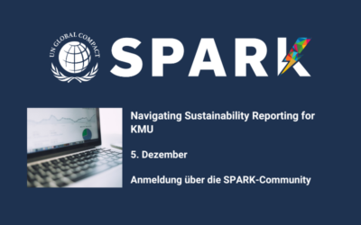 SPARK Live-Session: Navigating Sustainability Reporting for KMU (EN)