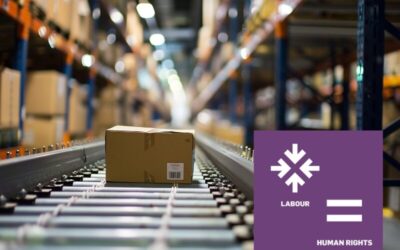 Webinar I Human Rights in the Supply Chain (EN)