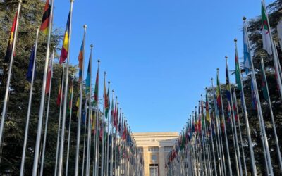 Nachbericht: UN Forum on Business & Human Rights