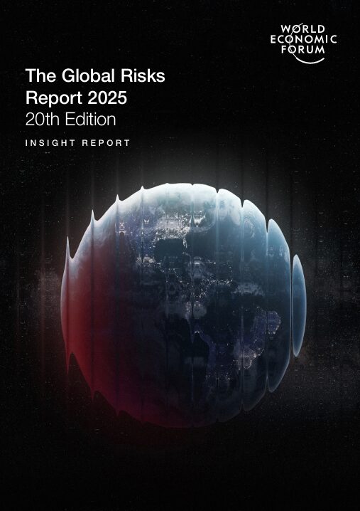 Global Risk Report 2025