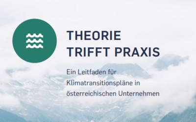 Leitfaden für Klima Transitionspläne