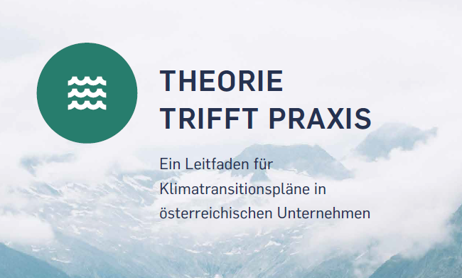 Leitfaden für Klima Transitionspläne
