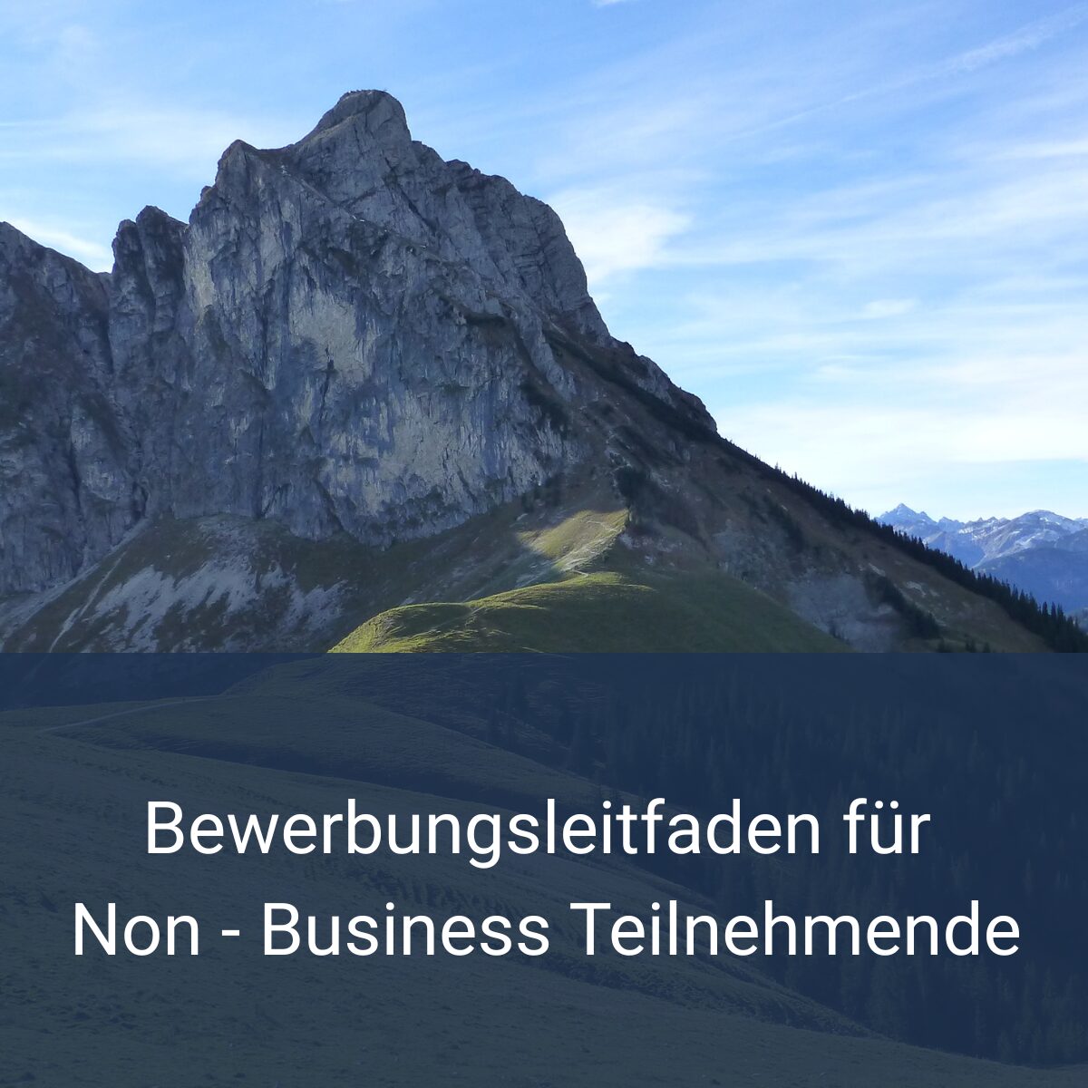 Bewerbungsleitfaden-NONBusiness