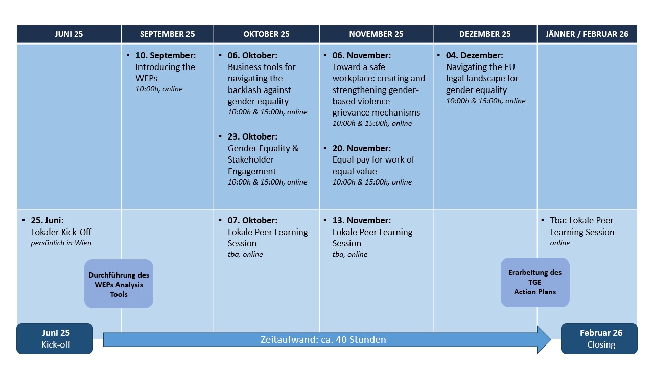 BHR_Accelerator_Zeitplan_2023_final