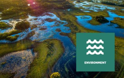 Webinar Series I Addressing corporate impacts on nature with TNFD (EN)