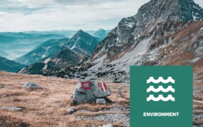 Webinar I Leitfaden für Klimatransitionspläne