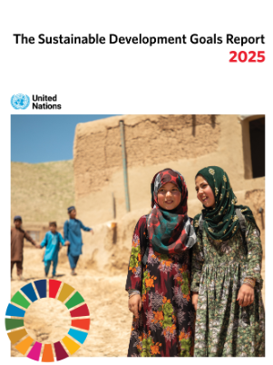 SDG Report 2025