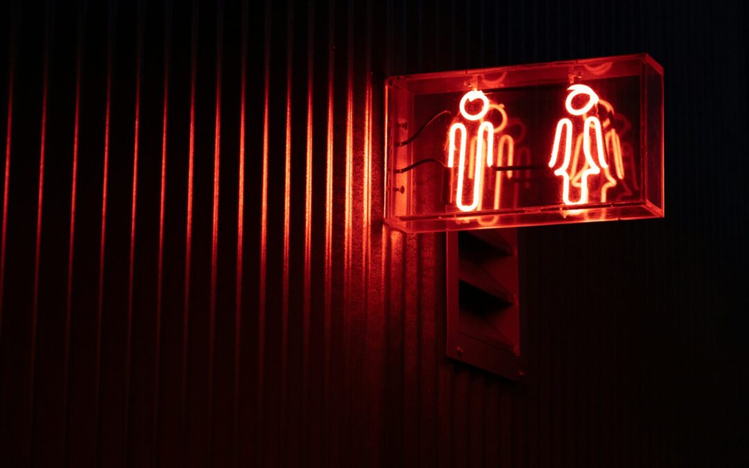 Closing the Gender Pay Gap: Shared Lessons from Austria & Iceland (EN)