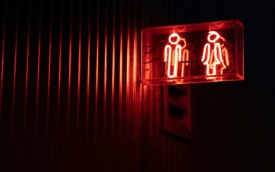 Closing the Gender Pay Gap: Shared Lessons from Austria & Iceland (EN)