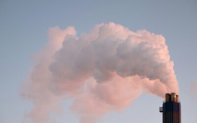 Grundlagenwebinar I THG-Bilanz: Scope-3-Emissionen & Datenmanagement