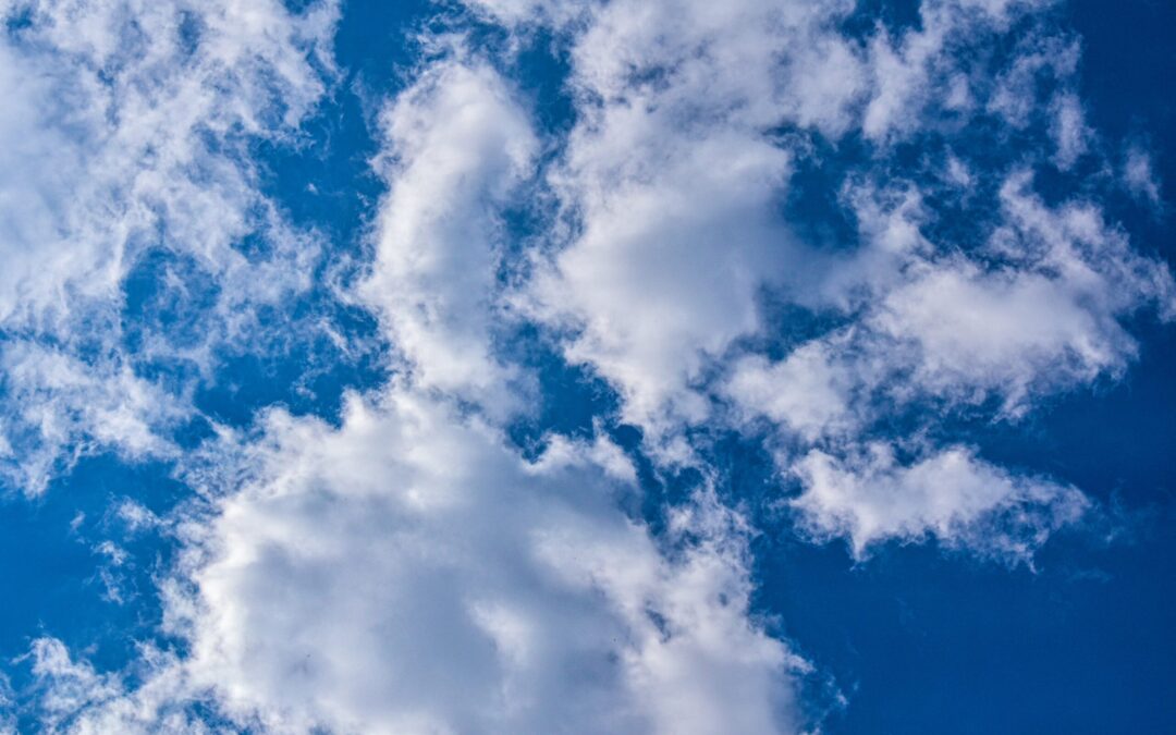 Business Leadership for Clean Air (EN)