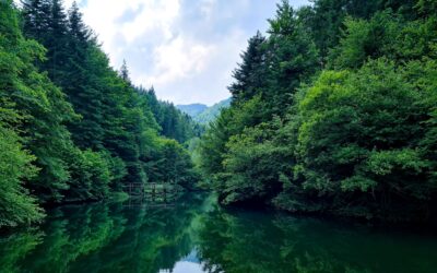 Introduction to the SBTi Corporate Net-Zero Standard V2 – Changes and Expectations for Business (EN)