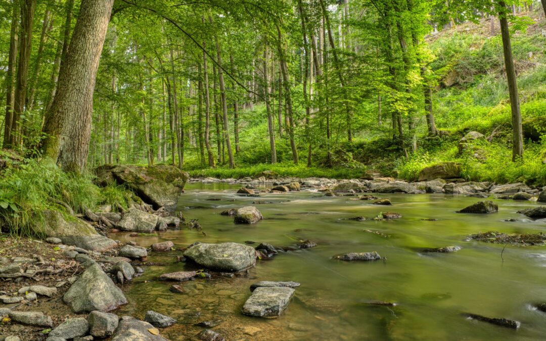 Mehrwert des freiwilligen ESG-Reportings